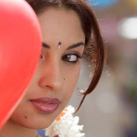 Exclusive: Richa Gangopadhyay in Osthi Movie - Stills | Picture 104699
